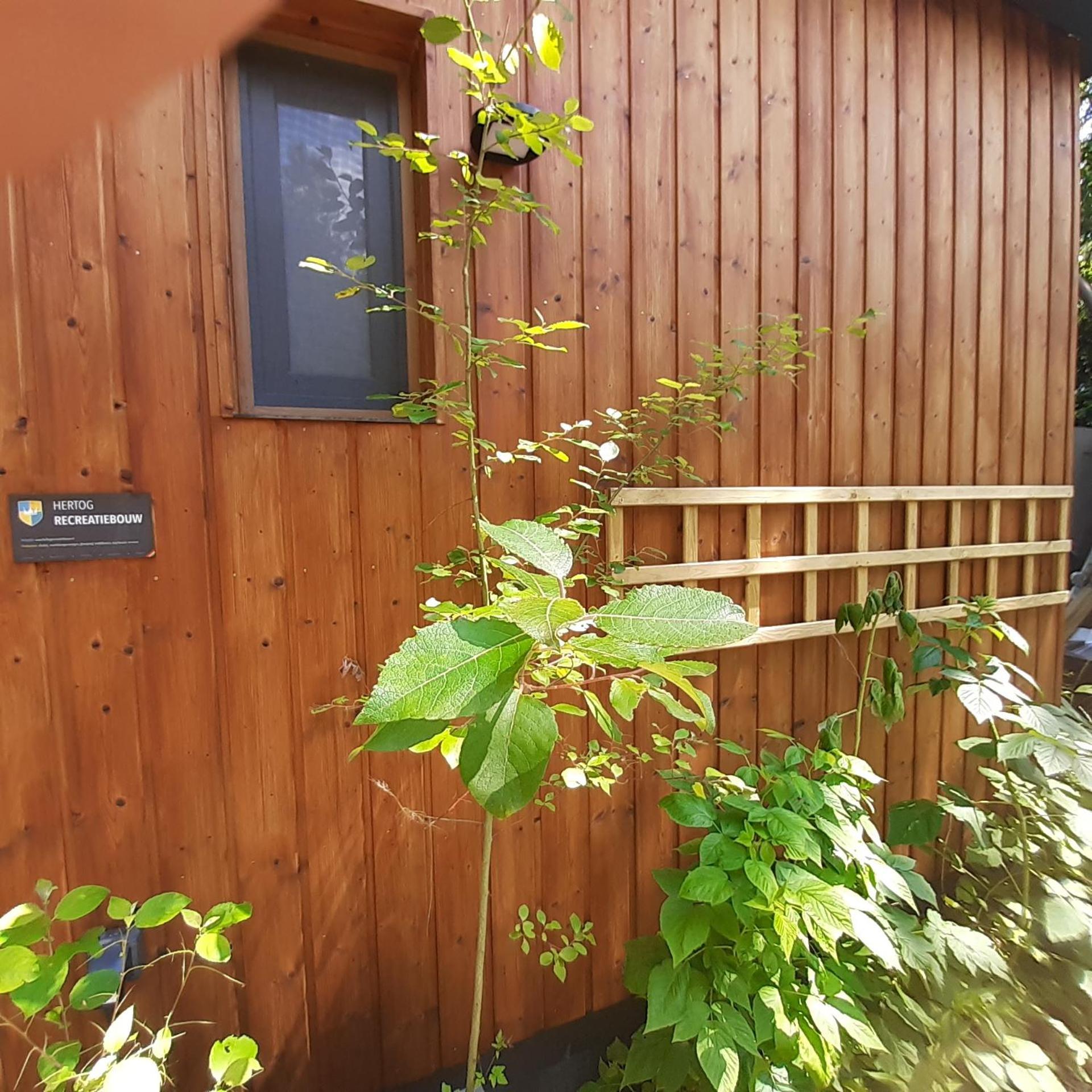 Natuurhuisje Govinda Casa vacanze *