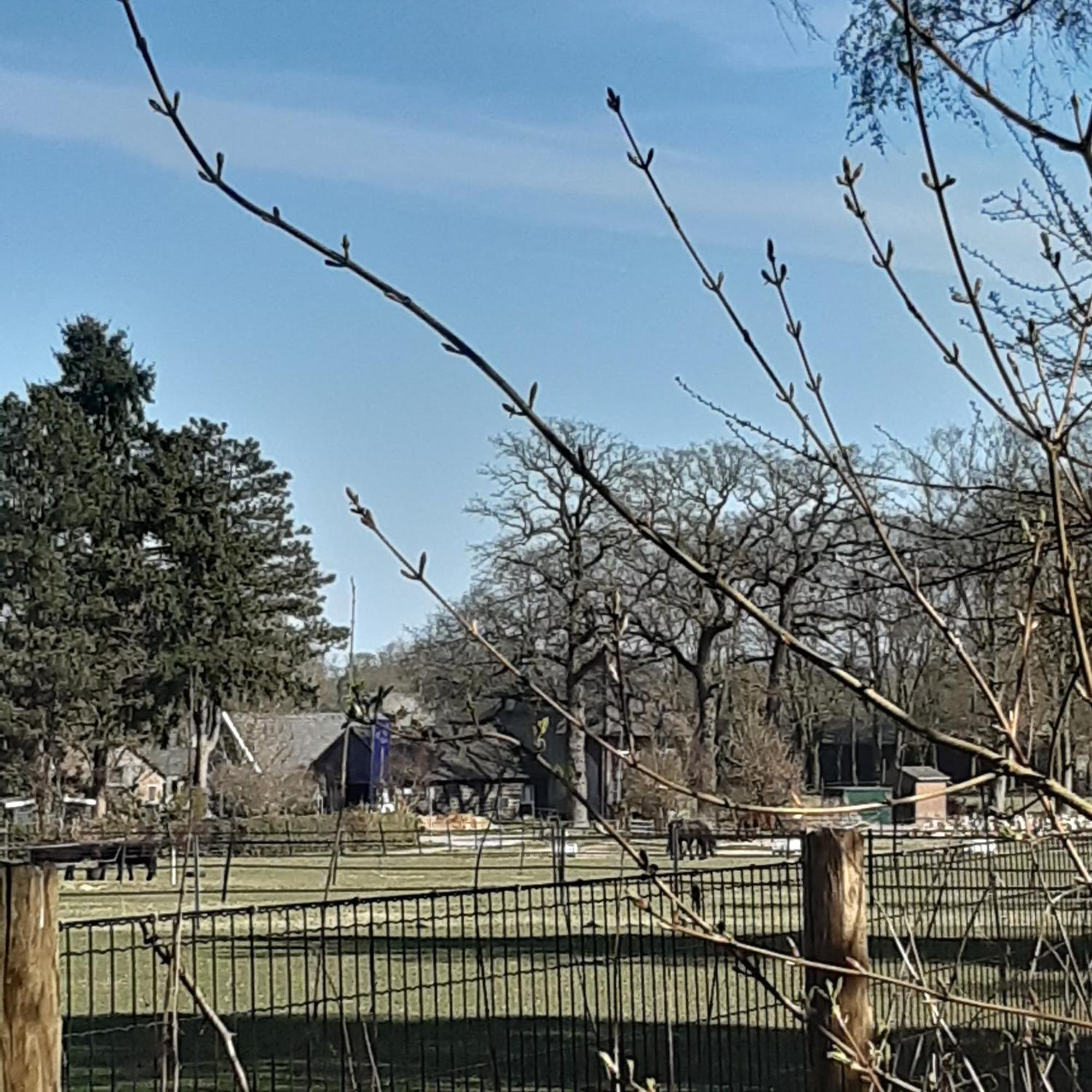Natuurhuisje Govinda Casa vacanze *