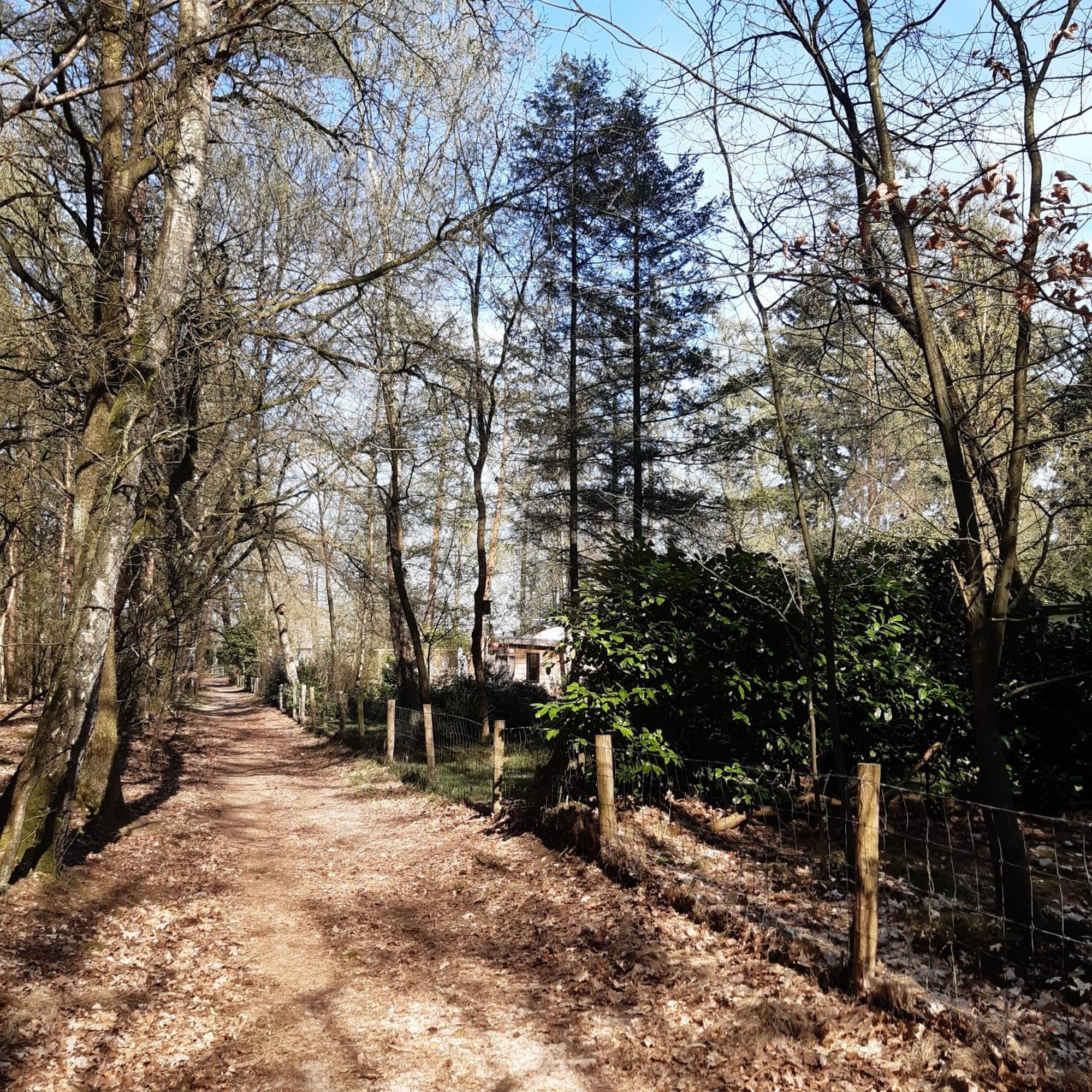 Casa vacanze Natuurhuisje Govinda *
