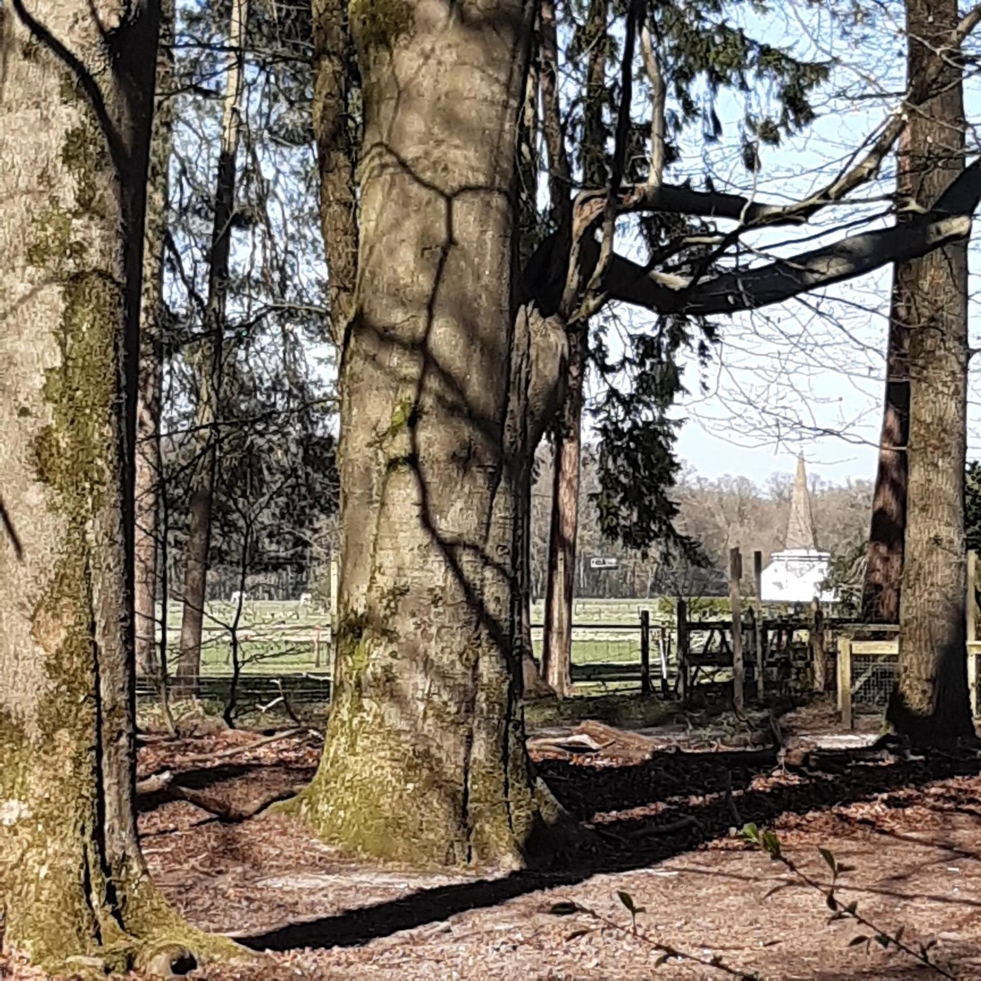 Natuurhuisje Govinda Casa vacanze *